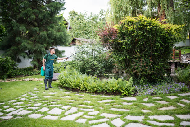 Artificial Turf Installation in Baldwin, MI